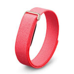 Google Fitbit Air Berry