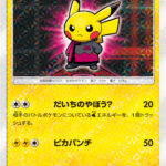 PSA10 ボスごっこピカチュウ マグマ団 PROMO 193/SM-P