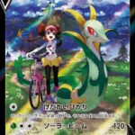 PSA10 ジャローダV CSR 084/068
