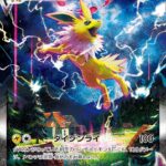 PSA10 サンダースVMAX(夏ポケカ) PROMO 188/S-P