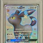PSA10 ブラッキーGX 229/150