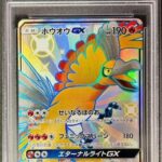 PSA10 ホウオウGX 210/150