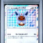 PSA10 ポンチョを着たイーブイ(EF) 140/SM-P