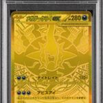 PSA10 メガダークライex【MUR】 118/081