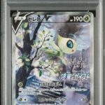 PSA10 セレビィV(SA) 175/S-P
