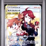 PSA10 カスミ&カンナ 191/173
