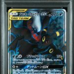 PSA10 ブラッキー＆ダークライGX 181/173