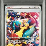 PSA10 カナリィ 248/193