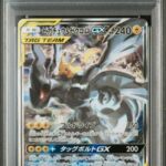 PSA10 ピカチュウ＆ゼクロムGX(SA) 101/095