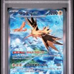 PSA10 サンダーex 204/165
