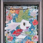 PSA10 シェイミEX 021/020