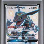 PSA10 レックウザGX 240/150