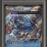 PSA10 ギャラドス XY-P