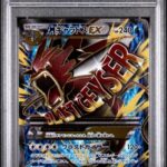 PSA10 MギャラドスEX 082/080