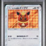 PSA10 ポンチョを着たイーブイ(BS) 139/SM-P