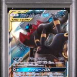 PSA10 ブラッキー＆ダークライGX(RR仕様) 010/031