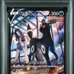 PSA10 ブラッキーV 244/184